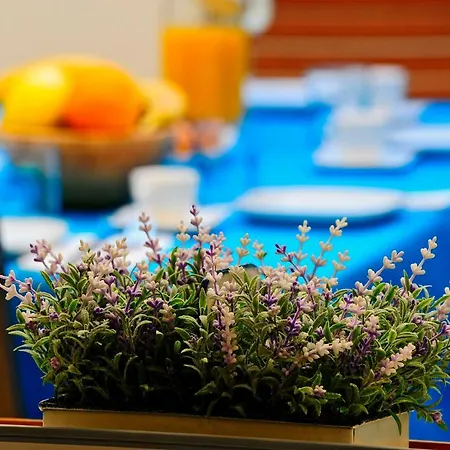 Luxury Dvor ספליט